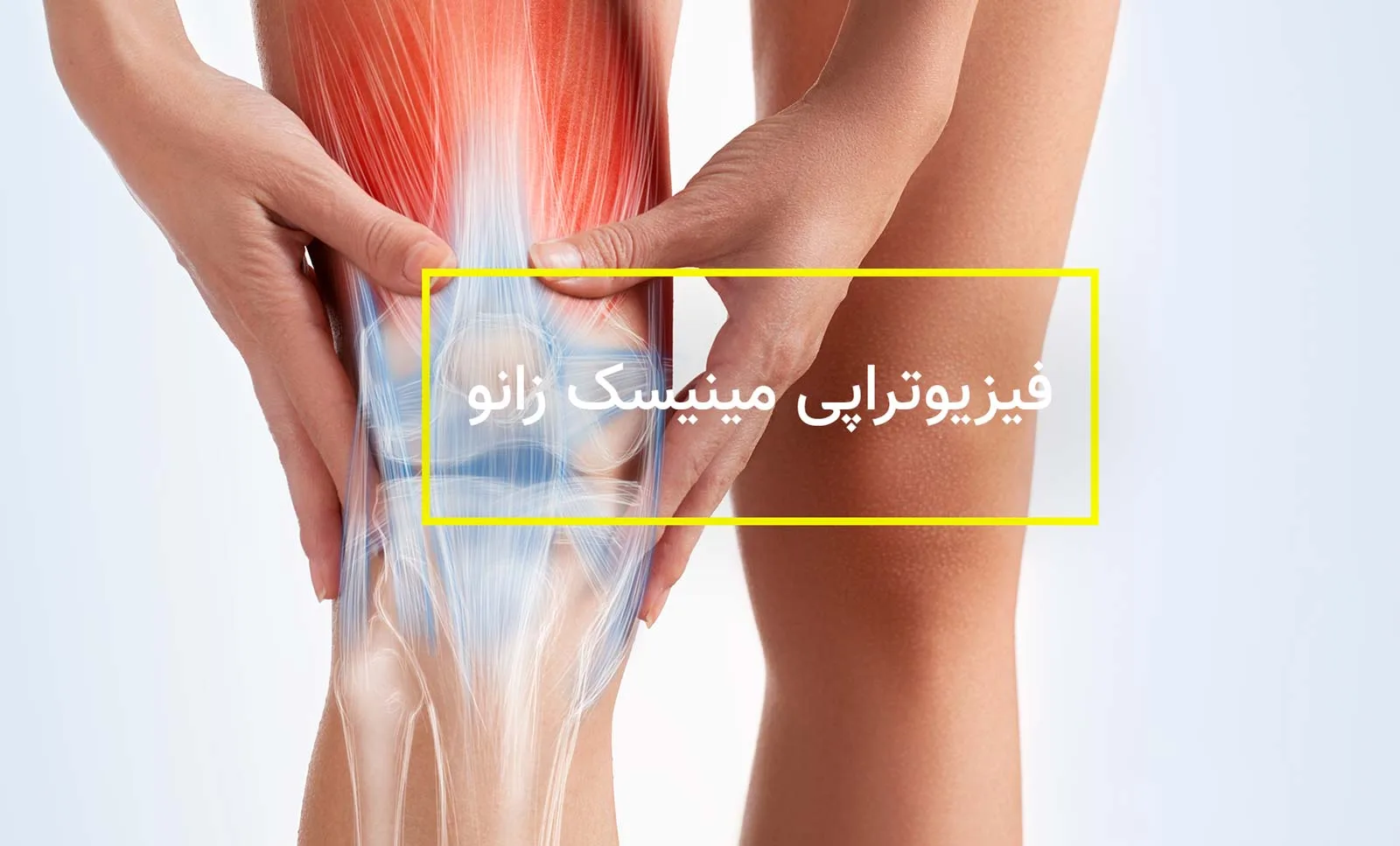 فیزیوتراپی مینیسک زانو