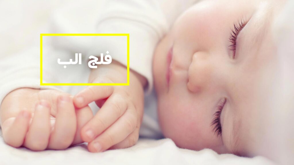 فلج ارب