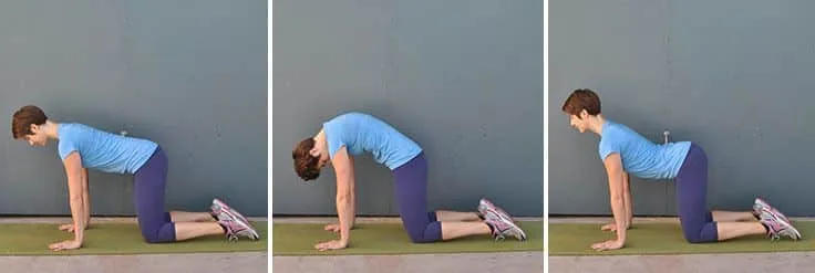 حرکت گربه گاو