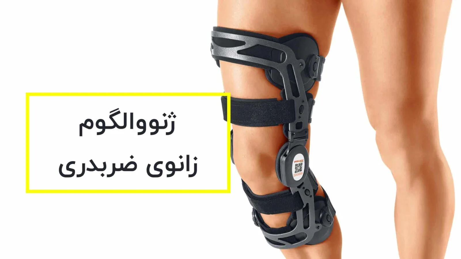 ژنووالگوم