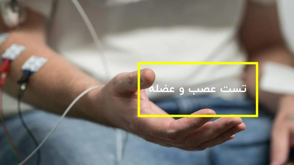 تست عصب و عضله