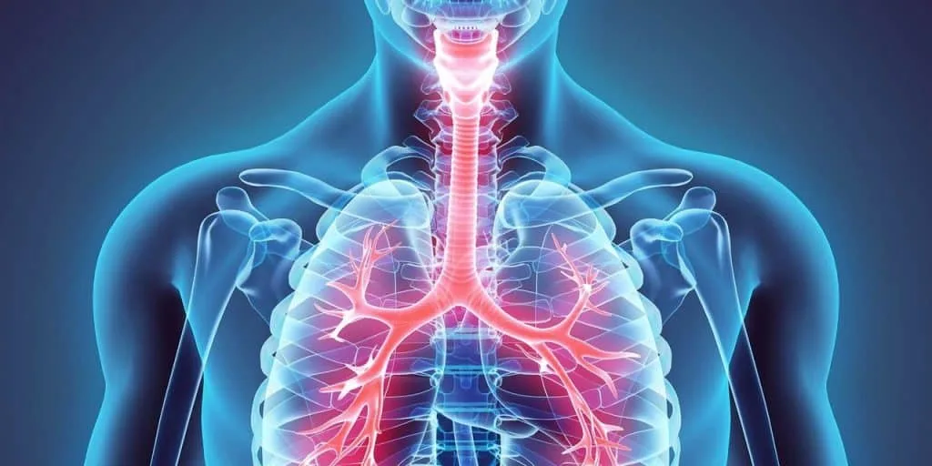 مزایای فیزیوتراپی تنفسی و چرخه تنفس