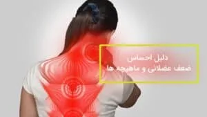 ضعف عضلانی و ماهیچه ها