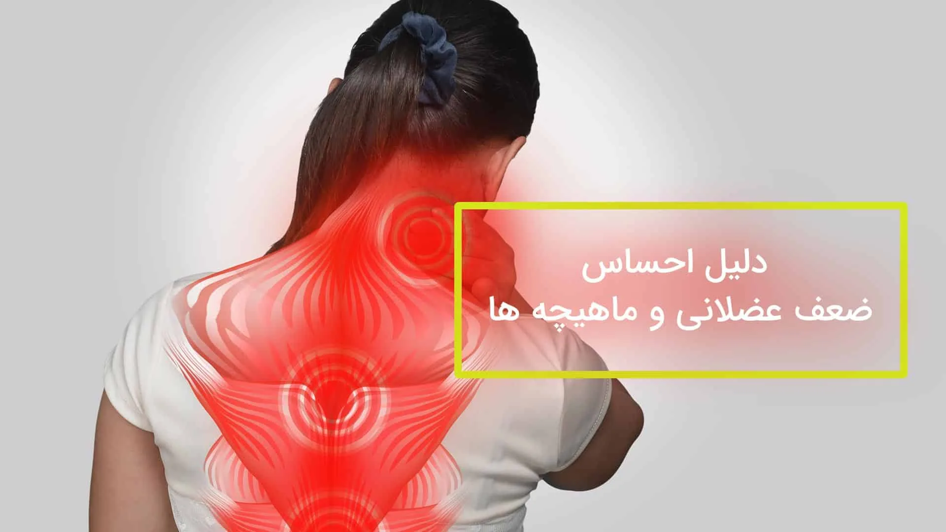 ضعف عضلانی و ماهیچه ها