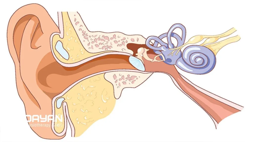 علل وزوز گوش