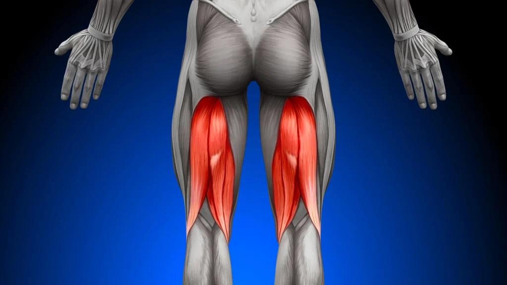 درد پشت ران؛ گرفتگی همسترینگ است یا سیاتیک؟